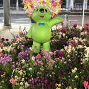 ヒメ日記 2025/03/19 14:34 投稿 初美(はつみ) グランドオペラ横浜