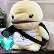 ヒメ日記 2025/04/01 16:21 投稿 初美(はつみ) グランドオペラ横浜