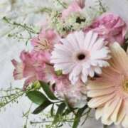 ヒメ日記 2025/12/02 00:11 投稿 初美(はつみ) グランドオペラ横浜