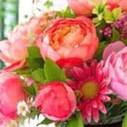 ヒメ日記 2026/01/08 22:41 投稿 初美(はつみ) グランドオペラ横浜