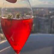 ヒメ日記 2026/01/29 09:01 投稿 初美(はつみ) グランドオペラ横浜