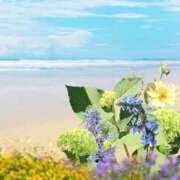 ヒメ日記 2026/04/21 14:21 投稿 初美(はつみ) グランドオペラ横浜