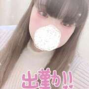 ヒメ日記 2025/02/19 11:04 投稿 さやか 大久保新大久保 ぽちゃカワ女子専門店