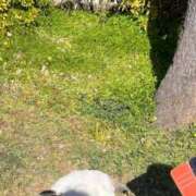 ヒメ日記 2025/02/12 10:03 投稿 甲田(こうだ) 八王子人妻城