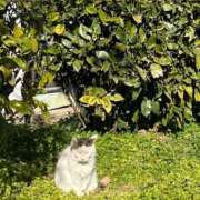 ヒメ日記 2025/02/28 00:18 投稿 甲田(こうだ) 八王子人妻城