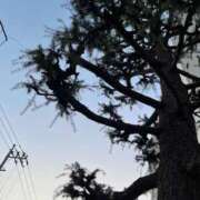 ヒメ日記 2025/02/28 09:33 投稿 甲田(こうだ) 八王子人妻城