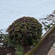 ヒメ日記 2025/03/06 22:48 投稿 甲田(こうだ) 八王子人妻城