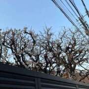 ヒメ日記 2025/03/07 20:33 投稿 甲田(こうだ) 八王子人妻城