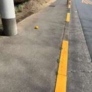 ヒメ日記 2025/03/20 10:03 投稿 甲田(こうだ) 八王子人妻城