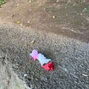 ヒメ日記 2025/04/24 15:12 投稿 甲田(こうだ) 八王子人妻城