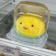 ヒメ日記 2025/04/28 09:03 投稿 甲田(こうだ) 八王子人妻城