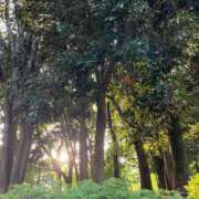 ヒメ日記 2025/05/12 10:03 投稿 甲田(こうだ) 八王子人妻城