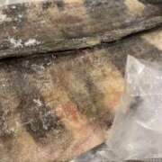 ヒメ日記 2025/05/21 22:27 投稿 甲田(こうだ) 八王子人妻城