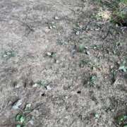 ヒメ日記 2025/07/23 19:36 投稿 甲田(こうだ) 八王子人妻城