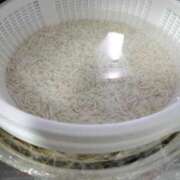 ヒメ日記 2025/10/15 09:15 投稿 甲田(こうだ) 八王子人妻城