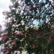 ヒメ日記 2025/03/28 21:21 投稿 ねりね まごころ