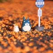 ヒメ日記 2025/10/29 21:58 投稿 かんな まごころ