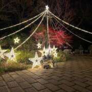 かんな 今日の仲良し様へ♡ まごころ