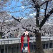 ヒメ日記 2025/04/07 13:33 投稿 さつき まごころ