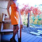 ヒメ日記 2025/11/05 10:01 投稿 いちょう まごころ