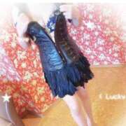 ヒメ日記 2025/11/07 10:01 投稿 いちょう まごころ