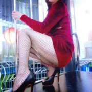 ヒメ日記 2025/11/12 10:01 投稿 いちょう まごころ