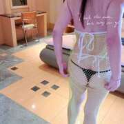 ヒメ日記 2025/11/22 06:15 投稿 いちょう まごころ