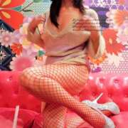 ヒメ日記 2025/12/20 06:15 投稿 いちょう まごころ