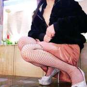 ヒメ日記 2026/02/02 06:15 投稿 いちょう まごころ