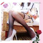 ヒメ日記 2026/02/24 06:15 投稿 いちょう まごころ