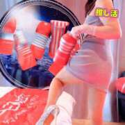 ヒメ日記 2026/04/05 06:15 投稿 いちょう まごころ