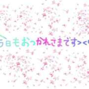 ヒメ日記 2024/04/03 23:46 投稿 なでしこ まごころ