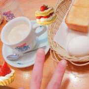 ヒメ日記 2025/04/29 13:48 投稿 なでしこ まごころ