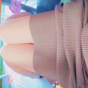 ヒメ日記 2025/07/29 12:02 投稿 なでしこ まごころ