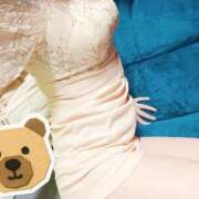 ヒメ日記 2025/11/07 08:45 投稿 なでしこ まごころ