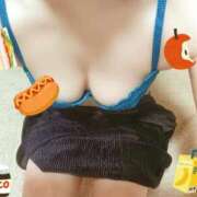 ヒメ日記 2025/12/21 11:24 投稿 なでしこ まごころ