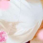 ヒメ日記 2026/03/24 15:39 投稿 なでしこ まごころ