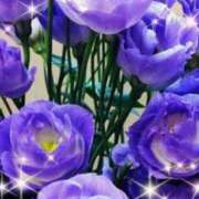 こすもす 8月🌻 まごころ