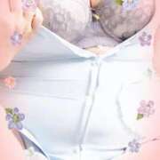 ヒメ日記 2025/03/20 17:02 投稿 うつぎ まごころ