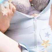 ヒメ日記 2025/09/25 12:50 投稿 うつぎ まごころ