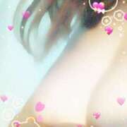 ヒメ日記 2025/11/14 20:12 投稿 うつぎ まごころ