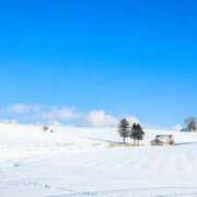 ヒメ日記 2025/02/08 21:26 投稿 はるな 人妻最後の砦 大和本店