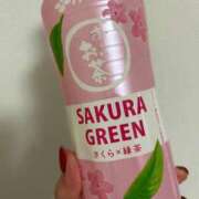 ヒメ日記 2026/02/07 10:59 投稿 つかさ 石川小松ちゃんこ