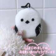 ヒメ日記 2026/03/08 01:24 投稿 愛乃なつ 癒したくて成田店～日本人アロマ性感～