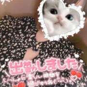 ヒメ日記 2025/10/26 15:06 投稿 【緑谷 きき】 梅田ムチSpa女学院