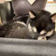 ヒメ日記 2026/02/27 15:42 投稿 ちあき 横浜パフパフチェリーパイ