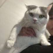 ヒメ日記 2025/02/24 10:30 投稿 珠緒さくら プレジデントクラブ