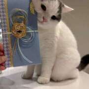 ヒメ日記 2025/02/25 00:04 投稿 珠緒さくら プレジデントクラブ