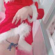 ヒメ日記 2024/12/24 23:27 投稿 はる 若葉