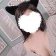 ヒメ日記 2025/02/16 23:35 投稿 はる 若葉